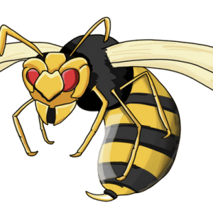 Wasp PNG