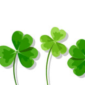 Shamrock PNG
