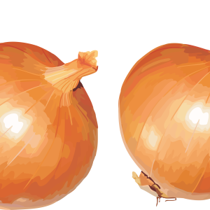 Onion PNG image