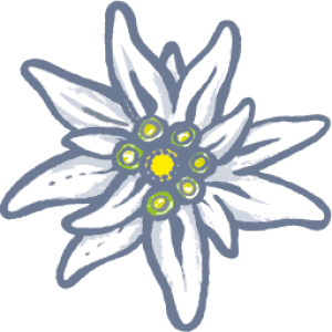 Edelweiss PNG