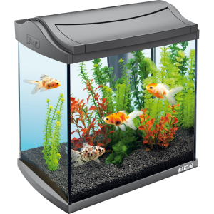 Aquarium PNG