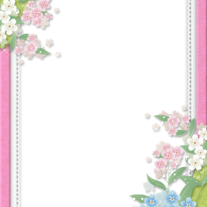 Floral frame PNG