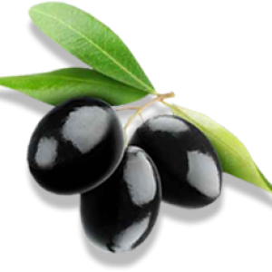 Olive PNG