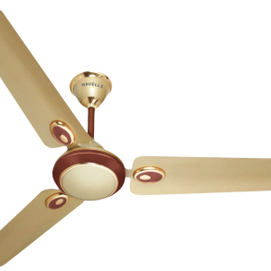 Fan PNG