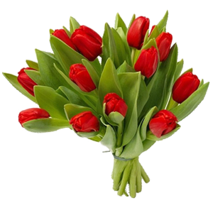 Bouquet flowers PNG
