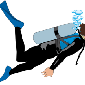 Diver PNG