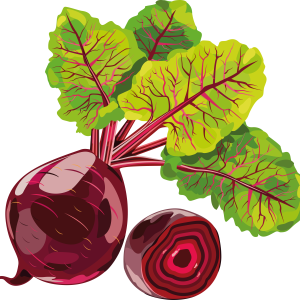 Beet PNG