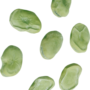 Kidney beans PNG