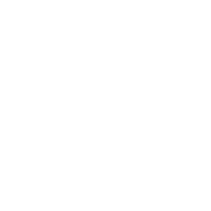 Feather PNG