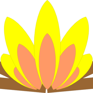 Bonfire PNG