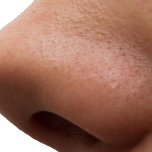 Human nose PNG