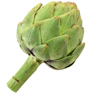 Artichoke PNG
