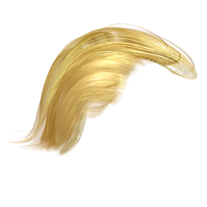 Hair wig PNG