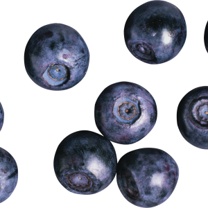 Blueberries PNG