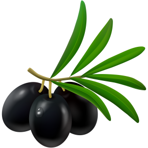Black olives PNG