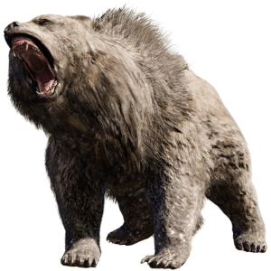 bear PNG