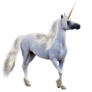 Unicorn PNG