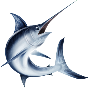 Swordfish PNG