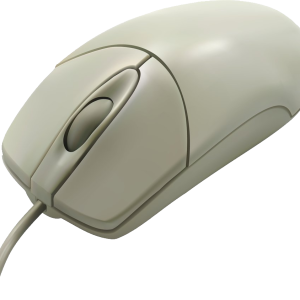 PC mouse PNG image