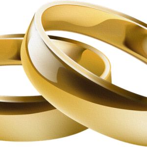 Wedding rings PNG