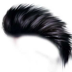 Punk hair PNG