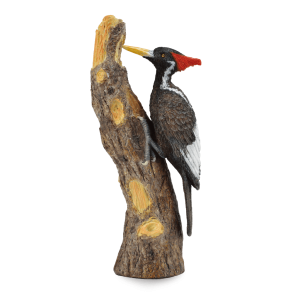 Woodpecker PNG