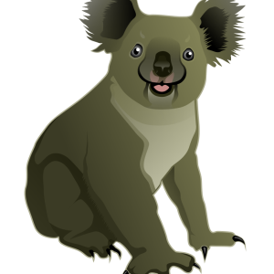 Koala PNG