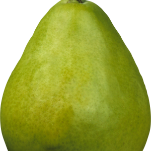 Green pear PNG image