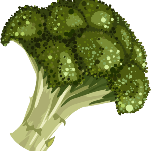 Broccoli PNG