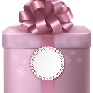 Gift box PNG