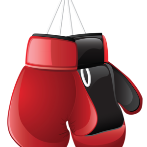 boxing gloves PNG
