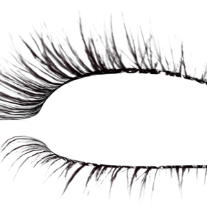 Eyelash PNG