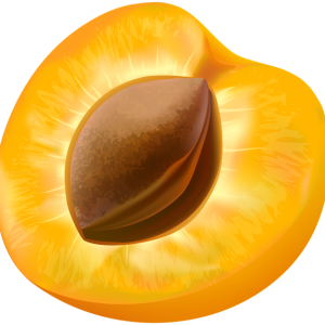 Apricot PNG