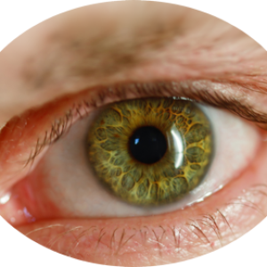 Eye PNG
