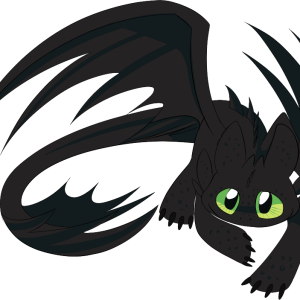 Night Fury PNG