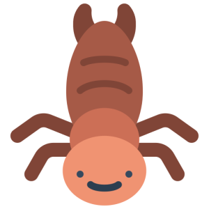 Earwig PNG