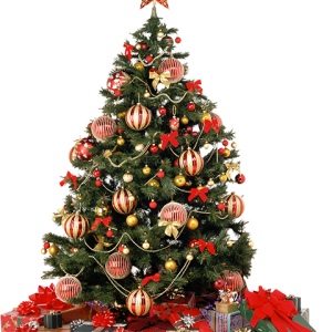 Christmas tree PNG