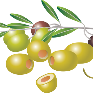 Olive PNG