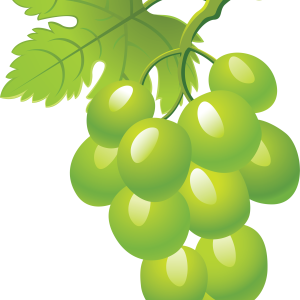 Green grape picture PNG image