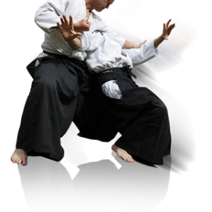 Aikido PNG