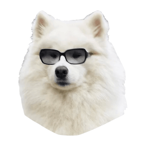 Samoyed PNG