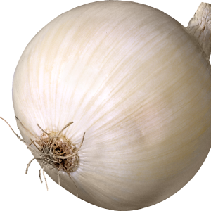 Onion PNG