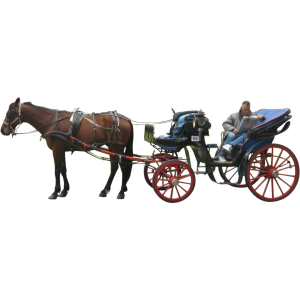 Carriage PNG