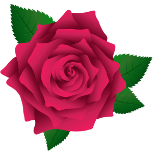 Rose PNG