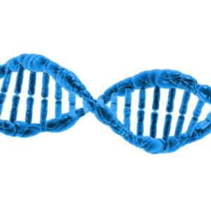 DNA PNG