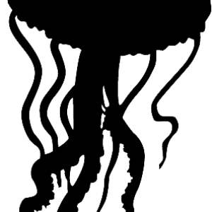 Jellyfish PNG