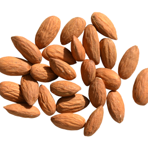 Almond PNG