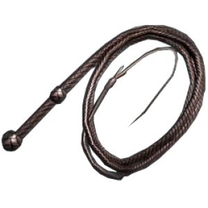 Whip PNG