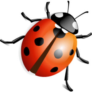 ladybug PNG image