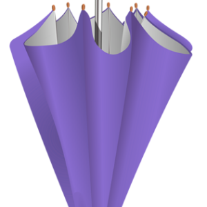Umbrella PNG